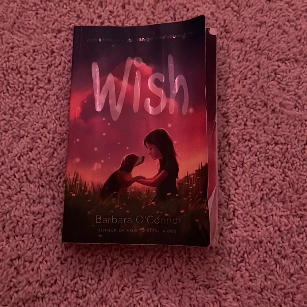 Wish by Barbra O Connor